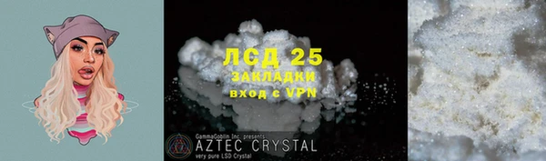 прущие грибы Алексеевка