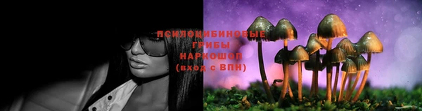 прущие грибы Алексеевка