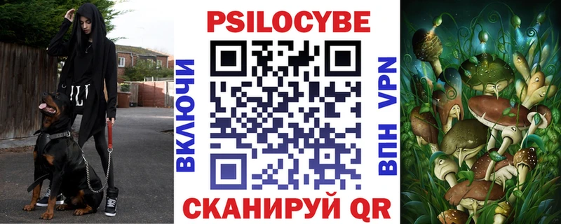 цены   Андреаполь  Галлюциногенные грибы Psilocybe 